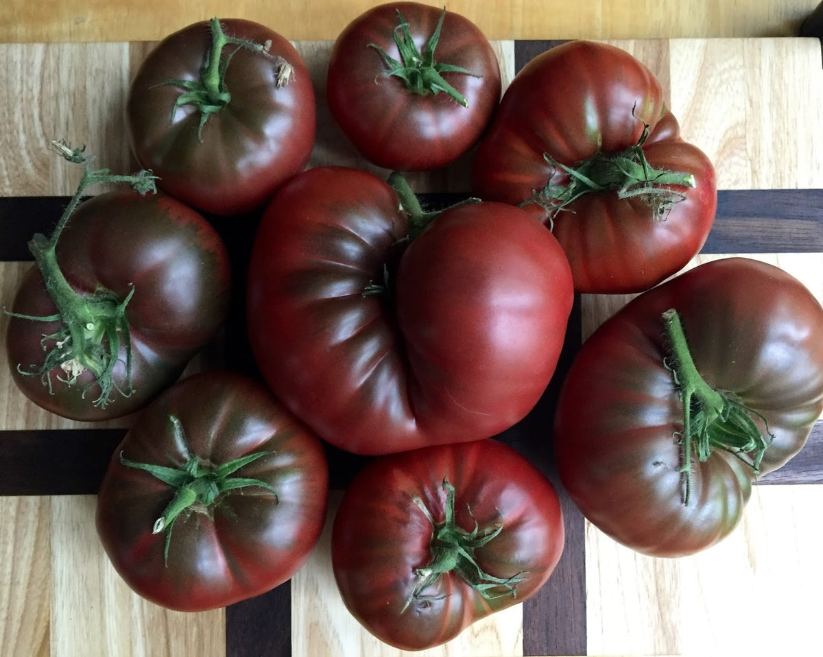 Fresh Light Brown Tomato seeds for home planting