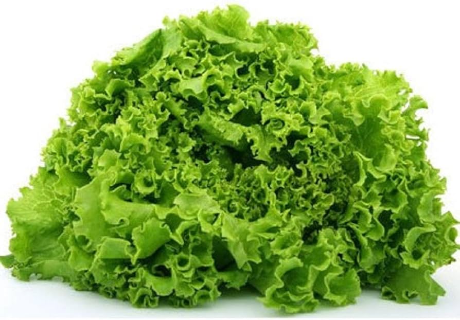 Mixed Salad Greens seeds for backyard planting