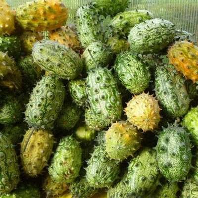 100 Pcs