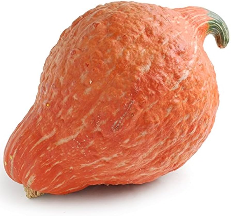 Hubbard Golden squash seeds for planting