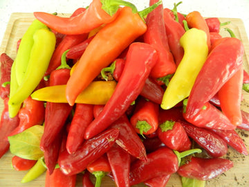 Capsicum annuum Hungarian Pepper seeds for planting in garden and vegetable patch