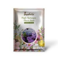 Hydrangea Purple Seeds For Planting