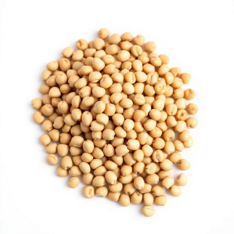 Brown Edible Soybean Seeds - 1 Planting Seeds