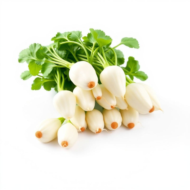 Blizzard Green White Choi Vegetable Seeds for Planting
