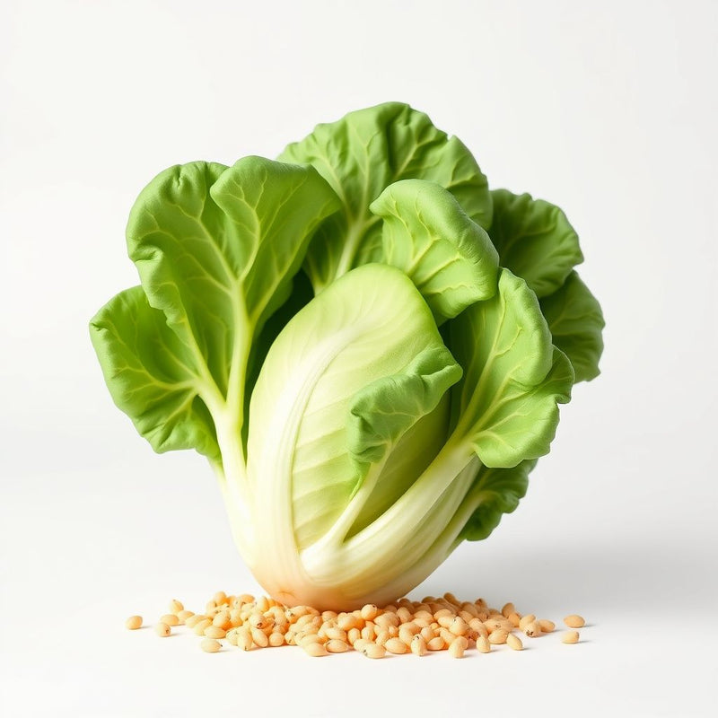 Green Brassica Vegetable Seeds for Planting