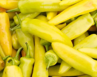 Yellow Bedder Pepper Planting Seeds