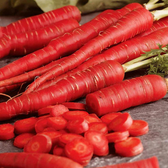 Red Carrot Vegetable Seeds for Planting