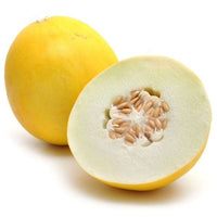 Planting Cantaloupe Fruit Seeds: Grow Nutritious Yellow Melons for Abundant Harvests