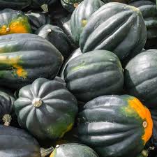 Table King Bush Acorn Squash Planting Seed for Robust Growth and Delicious Harvest in Your Garden