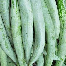 Green Snake Gourd Vegetable Seeds for Your Garden