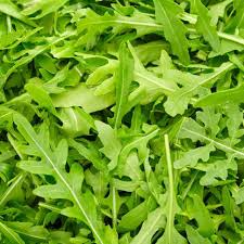 Green Rucola Vegetable Seeds for Planting