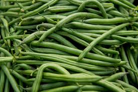 Blue Lake Pole Bean Seeds for Planting