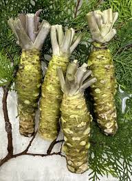 Green Horseradish Vegetable Seeds for Planting