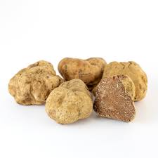 Truffle Vegetable Seeds for Easy Planting