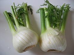 White Florence Fennel Vegetable Seeds for Planting