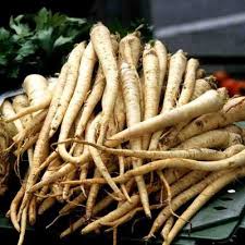 Brown Mammoth Vegetable Seeds for Planting