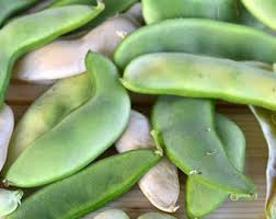 Grow Delicious Lima Beans | Easy Planting Seeds for Your Garden