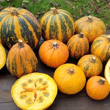 Kakai Hull-Less Pumpkin Seeds for Easy Planting