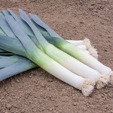 Green Saint Victor Vegetable Seeds for Planting