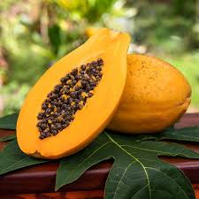 Orange Papaya Seeds for Planting  Grow Your Own Fruit