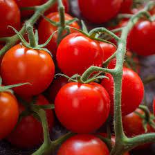 Cherry Tomatoes Seeds Solanum lycopersicum for Planting in Vegetable Patch & Garden
