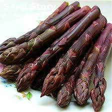 Purple Asparagus Seeds  Perfect for Planting