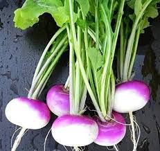 Rutabaga Seeds for Planting  Perfect for Your Vegetable Garden