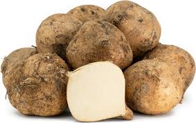 Jicama Vegetable Seeds for Planting