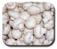 Mushroom Vegetable Seeds for Planting