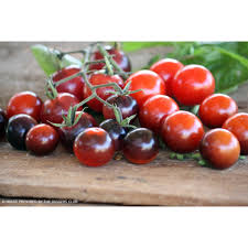 Mixed Blueberries Tomato Seeds for Planting