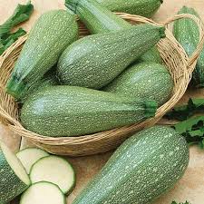 Grey Zucchini Squash Seeds for Planting  Grow Delicious Vegetables