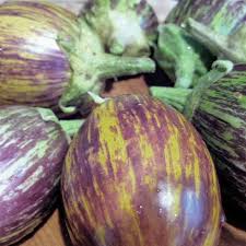 Udumalpet Eggplant Vegetable Seeds for Easy Planting