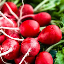 Radish Vegetable Seeds for Home Planting