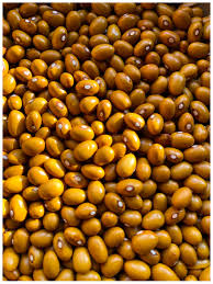 Swedish Brown Beans Vegetable Seeds for Planting