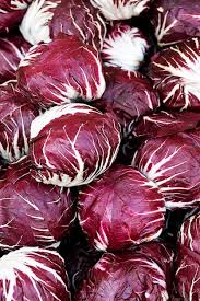 Red Radicchio Vegetable Seeds - Easy Planting for Home Gardens