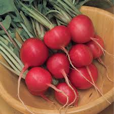 Radish Vegetable Seeds for Home Planting