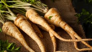 Russian Horseradish Vegetable Seeds for Home Planting