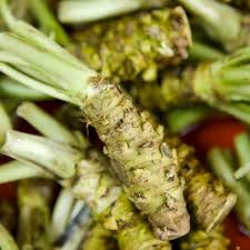 Wasabi Vegetable Seeds for Planting
