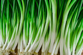 Green Scallion Seeds for Planting - Vegetable Garden Essentials