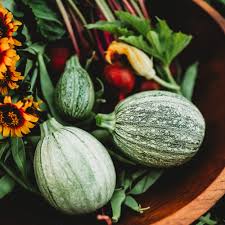 Green Ronde de Vegetable Seeds for Easy Planting