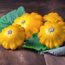 Yellow Scallop Vegetable Seeds  Perfect for Planting