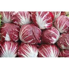 Red & White Radicchio Vegetable Seeds for Planting