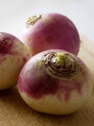 Turnip Plant Seeds for Thriving Vegetable Gardens  Perfect for Planting