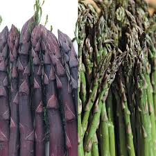 Asparagus Seeds for Planting - Premium Vegetable Garden Seeds