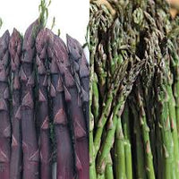 Asparagus Seeds for Planting - Premium Vegetable Garden Seeds