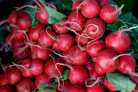 Red Turnip Seeds for Your Vegetable Garden