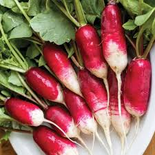 Rapid Yield Radish Seeds, Planting