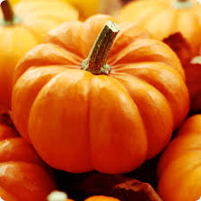 Futsu Squash Seeds: Perfect for Planting