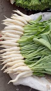 Radish Vegetable Seeds for Planting