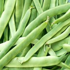 Green Romano Pole Bean Seeds for Vegetable Planting